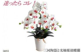 綺麗で丈夫な三河陶器で贈る 光触媒胡蝶蘭大輪３本立（白色の陶器×白桃色の花） H100-101