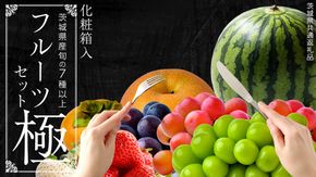 田舎の頑固おやじが厳選！フルーツ極みセット【順次お届け】［化粧箱入り］ [BI63-NT]