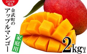 【2026年発送】農家さん直送！アップルマンゴー2kg以上　家庭用 アーウィン 果物 甘い 夏 濃厚 ギフト Mango ランキング 完熟 お気に入り 収穫 人気 甘味 フルーツ 沖縄県 先行予約 食品 デザート 産地直送 送料無料