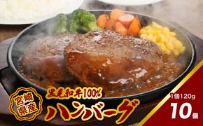 ★スピード発送!!７日～10日営業日以内に発送★宮崎県産黒毛和牛100%ハンバーグ120ｇ×10個 K16_0160