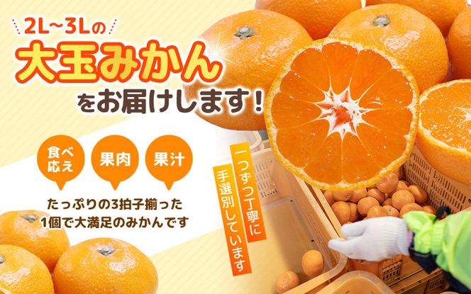 みかん 大玉 有田みかん 10kg （2L～3L） ひとつひとつ手選別で厳選【2025年11月下旬～1月中旬ごろに順次発送予定】 | みかん フルーツ 果物 くだもの 有田みかん 蜜柑 柑橘【hdm001-2A】