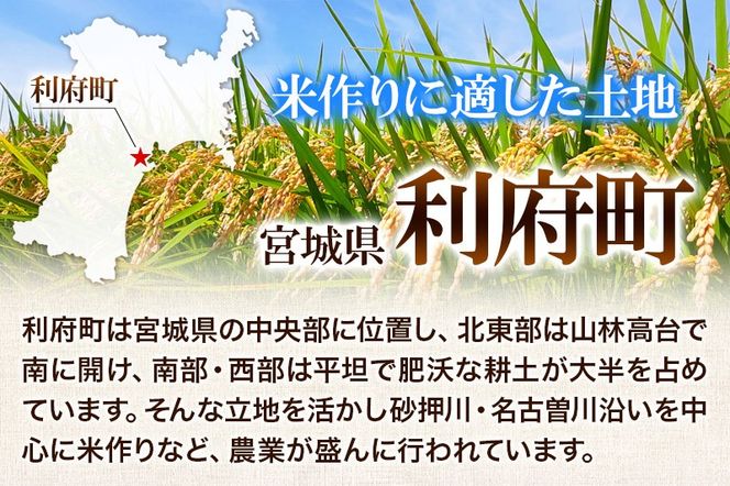 【白米】＜新米＞宮城県利府町産 一等米ひとめぼれ10kg(10kg×1) 令和6年産|06_jne-011001h