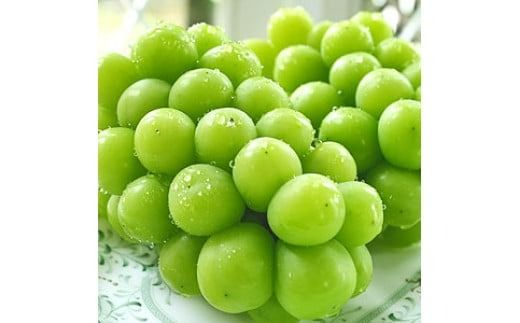 【2026年発送★先行予約】 産地厳選シャインマスカット2.2㎏～2.5kg（3房～5房） 106-014-26y