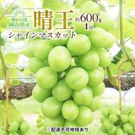 ぶどう 2026年 先行約 シャイン マスカット 晴王 1房 約600g 大粒 種無し ブドウ 葡萄 岡山県産 国産 フルーツ 果物 ギフト 橋田商店