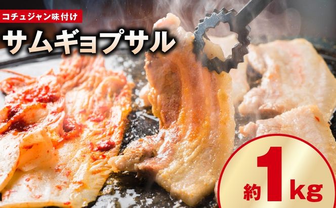 y{򍲖sz099H3359 yĂztTMvT 1kgi500g×2Pj R`Wt ē BBQ fWJr