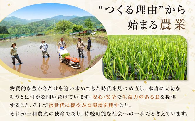 出雲からお届けする有機JAS認証　玄米角餅「いずも美人」 322032_CC003VC03
