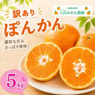 先行予約 訳あり ポンカン 5kg 7000円 ぽんかん みかん mikan 蜜柑 わけあり ミカン 家庭用 産地直送 国産 農家直送 防腐剤不使用 糖度 期間限定 数量限定 特産品 ゼリー ジュース アイス 人気 限定 甘い 果実 果肉 フルーツ 果物 柑橘 先行 事前 予約 受付 美味しい おいしい ジューシー さわやか サイズ ミックス 八百みかん農園 愛南町 愛媛県