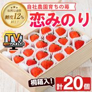 ＜先行予約受付中！2026年1月以降順次発送予定＞桐箱入！自社農園産いちご 恋みのり(計20個) 鹿児島 阿久根 自社農園 果物 フルーツ イチゴ いちご 苺 恋みのり 贈答用 ギフト 桐箱 デザート 期間限定【農園ガーデン空】akn026-11