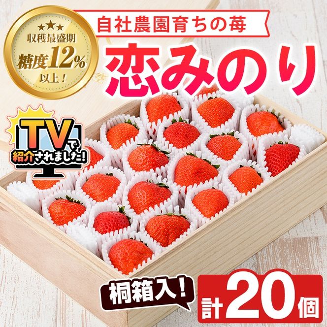 ＜先行予約受付中！2026年1月以降順次発送予定＞桐箱入！自社農園産いちご 恋みのり(計20個) 鹿児島 阿久根 自社農園 果物 フルーツ イチゴ いちご 苺 恋みのり 贈答用 ギフト 桐箱 デザート 期間限定【農園ガーデン空】akn026-11