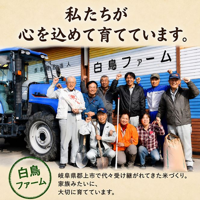 【令和7年産】特別栽培米 20kg【白米、7分ツキ】（コシヒカリ）