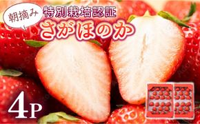 《先行予約・数量限定》あまい果汁溢れる最高級品質「さがほのか」約1kg（235g×4p）