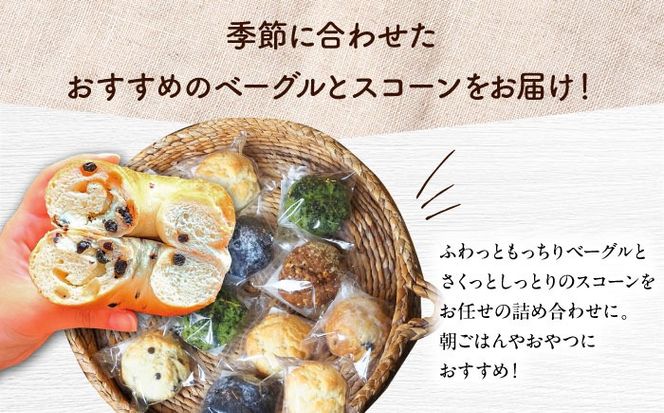 【全6回定期便】厳選おすすめ ベーグル ＆ スコーン 各12個 (24個セット) 詰め合わせ お取り寄せ 冷凍 個包装 沖縄市 / ZEBRA.Bagel[BCAE015]