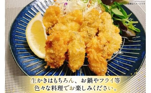 【期間限定発送】 宮城県産 むき牡蠣 生食用 500g×2p 計1kg [及新 宮城県 南三陸町 30aw0005] かき カキ 牡蠣 生牡蠣 貝 魚介類 剥き身 むき身 殻なし 冷蔵 新鮮 なべ カキフライ 牡蠣ご飯 濃厚