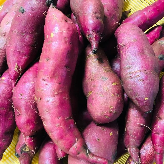 紅はるか 昔ながらの天日干し芋 500g(100g 5袋セット)　さつまいも 干しいも 芋 お菓子 京都府 南丹市