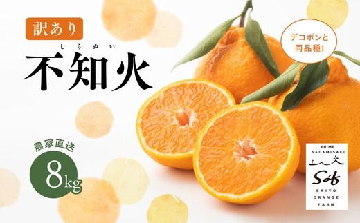 【先行予約】Saito Orange Farmの訳あり不知火8kg ｜ 柑橘 みかん ミカン フルーツ 果物 でこぽん デコポンと同品種 愛媛　※離島への配送不可　※2025年3月中旬頃より順次発送予定