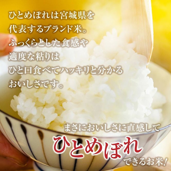 【新米予約】金芽米 定期便 無洗米 10kg (5kg×2袋)× 12ヶ月 計 120kg 令和8年 米 特別栽培米 ひとめぼれ 宮城県 加美産 BG無洗米 [ 宮城県 加美町 ] km-km-knm10-t12-r8 | km-km-knm10-t12-r8
