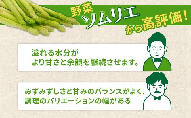 【2027年3月～発送】【星のアスパラ】グリーンアスパラガス 約700g / アスパラ アスパラガス 野菜 / 南島原市 / ほしのYA[SEY022]