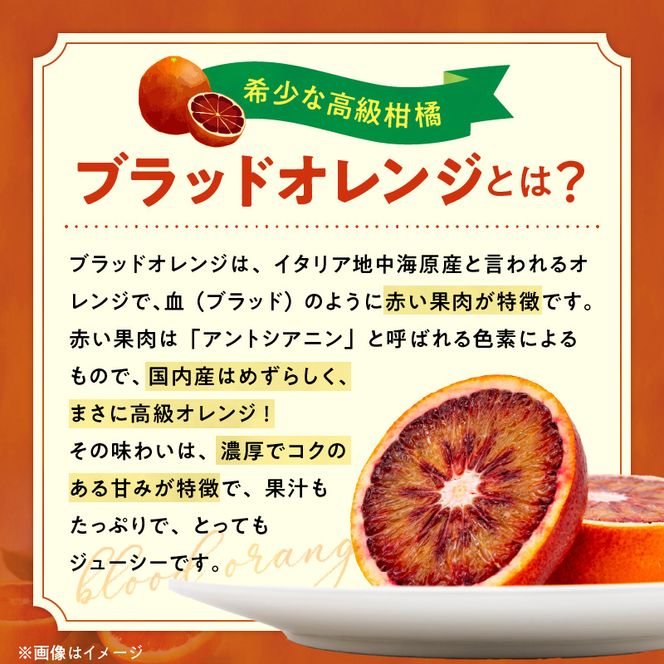 AB7372_Y_【直営限定】《先行予約・2027年3月発送》希少柑橘 ご家庭用 ブラッドオレンジ　サイズ混合/ご家庭用/3kg(傷み補償200g)　