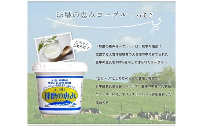 リキュール 特濃ヨーグルト とろ～り くまモンデザイン 箱付き 500ml お酒 洋酒 贈り物 本格米焼酎使用 爽やかな酸味 濃厚なコク 程よい甘み 
