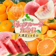 〈定期便〉【2・4・6・8・10・12月 全6回】紀州和歌山産旬のフルーツセット(不知火・清見・スイカ・桃・柿・みかん)