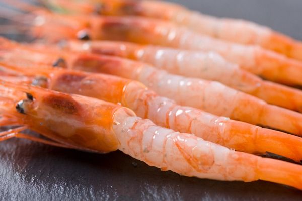 甘エビ 北海道 漁師採りたて 甘えび 400g×2箱 留萌産 あまえび 甘海老 海老 エビ 南蛮エビ つまみ おつまみ ご飯のお供 おかず 海鮮 海産物 海の幸 魚介 魚介類 刺身 お刺身 刺し身 さしみ 天ぷら 冷凍 留萌 