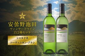 ワイン セット サッポログランポレール 安曇野池田ヴィンヤードワイン 白2種セット 750ml 計2本 [ナチュラルマルシェ ソヨソヨ 長野県 池田町 48110930] 酒 お酒 アルコール 白 白ワイン ブラン 国産 あるこーる ぶどう 特別 辛口 料理 セット