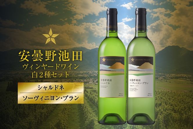 ワイン セット サッポログランポレール 安曇野池田ヴィンヤードワイン 白2種セット 750ml 計2本 [ナチュラルマルシェ ソヨソヨ 長野県 池田町 48110930] 酒 お酒 アルコール 白 白ワイン ブラン 国産 あるこーる ぶどう 特別 辛口 料理 セット