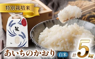 令和6年産　新米　愛知県産あいちのかおり　白米5kg　特別栽培米　ご飯 精米／戸典オペレーター[AECT024]