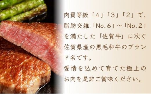 【佐賀産和牛】ハンバーグ 120g×5個  B-1008