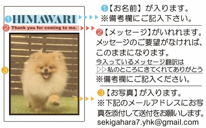 ペットの可愛いお写真をキーホルダーに♪うちの子アクリルキーホルダー（デザインB）