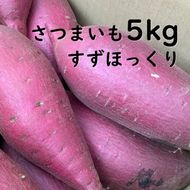 【先行予約】【2026年11月より順次発送開始】さつまいも　特選すずほっくり 約5kg｜さつまいも 芋 お芋 すずほっくり タネのハシモト 茨城県 行方市(BS-18)