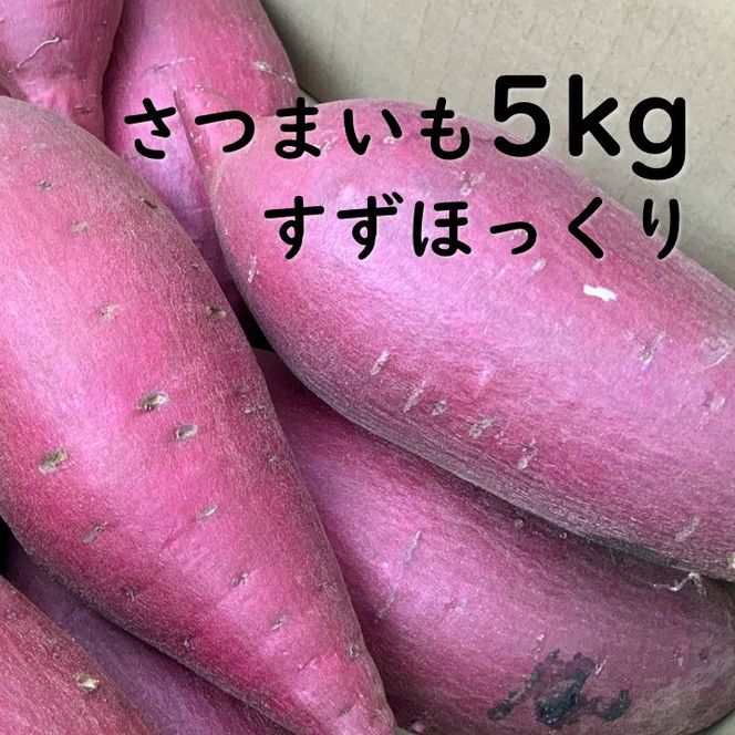 【先行予約】【2026年11月より順次発送開始】さつまいも　特選すずほっくり 約5kg｜さつまいも 芋 お芋 すずほっくり タネのハシモト 茨城県 行方市(BS-18)