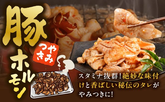 やみつき豚ホルモン!3kg!真空小分けパック!_LG8-3303_(都城市) 国産豚 ホルモン 味付き 300g 10P 3kg 小分け 真空パック おつまみ 焼くだけ 簡単調理 豚肉