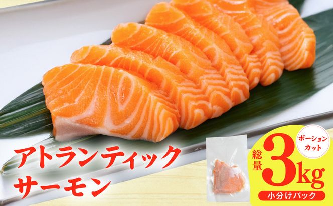 G3554 【スピード発送】アトランティックサーモン 3kg【小分け ポーション 柵切り 刺身 魚介 海鮮 さーもん 生食 訳あり サイズ不揃い】