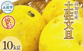 【先行予約】数量限定！【訳あり】土佐文旦（ぶんたん）家庭用（M～5L）約10kg 〈2027年2月中旬～発送〉文旦 10キロ 土佐文旦発祥の地 産地直送 約10～30玉 大玉 特大 3l 4l 高知 ぶんたん 柑橘 果物 フルーツ 訳あり  【株式会社とさもん】 [BQAE032]
