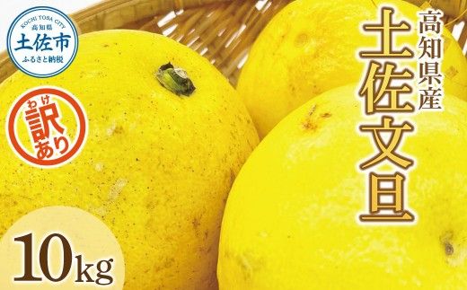 【先行予約】数量限定！【訳あり】土佐文旦（ぶんたん）家庭用（M～5L）約10kg 〈2027年2月中旬～発送〉文旦 10キロ 土佐文旦発祥の地 産地直送 約10～30玉 大玉 特大 3l 4l 高知 ぶんたん 柑橘 果物 フルーツ 訳あり  【株式会社とさもん】 [BQAE032]