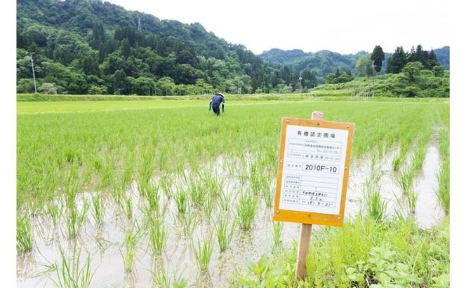 江戸伝承絶品米２Kg お米 コメ 