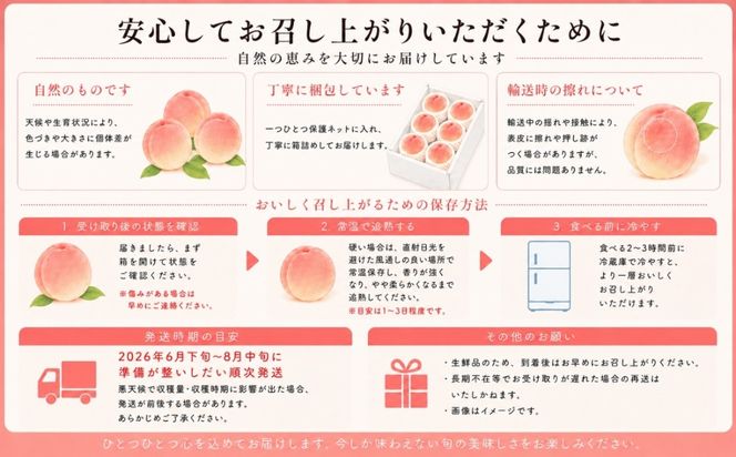 FB001 【2026年 先行予約】日本一の産地山梨県産　朝採れ桃約２kg(５～８玉）