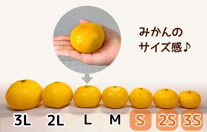 小玉みかん 極早生 箱込 10kg (内容量約 9.2kg)3S～Sサイズ混合 秀品 優品 混合 有田みかん 和歌山県産 【みかんの会】［2026年10月上旬頃より順次発送予定］  AX372