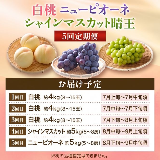 【2027年先行受付】 白桃 ニューピオーネ シャインマスカット 晴王 5回 定期便 桃 もも モモ ぶどう 葡萄 ブドウ 岡山県産　御中元 ギフト 御礼 プレゼント 御礼 御祝 御供 果物 くだもの フルーツ
