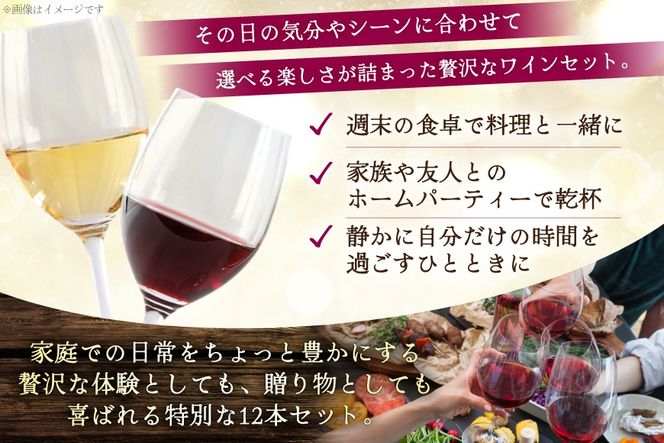 韮崎産 赤白スパークリング12本 お得な飲み比べセット 750ml ×11本 720ml ×1本 [株式会社まあめいく 山梨県 韮崎市 20745323] ワイン Wine わいん 赤ワイン 白ワイン 飲み比べ セット お酒 酒 山梨ワイン 甲州 スパークリング