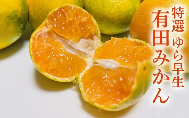 【先行予約】特撰 ゆら早生有田みかん 1.2kg(1kg+200g(傷み補償分))