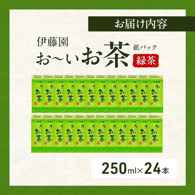 お～いお茶 緑茶 紙パック 250ml×24本 お茶 飲み物 飲料 国産茶葉 伊藤園 静岡県 袋井市