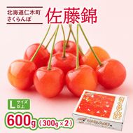 2027年発送 さくらんぼ 佐藤錦 600g (300g×2P) Lサイズ 北海道 仁木町　国産 旬のフルーツ 旬の果物 デザートサクランボ チェリー フルーツ 果物 果物類 仁木 [カムナビファーム]
