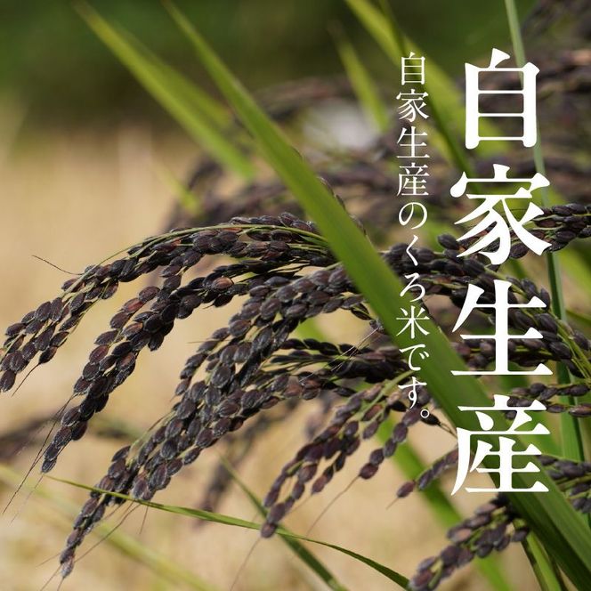 米くろ米500g N0182-YA0472