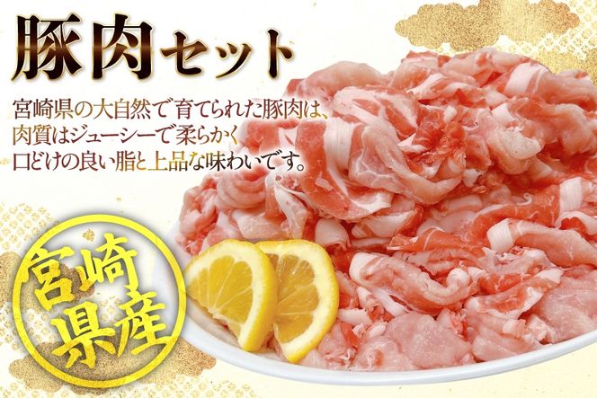 豚肉 宮崎県産豚肉 4.2kg 詰め合わせ セット [TRINITY 宮崎県 日向市 452061326] 小分け 豚 肉 宮崎 ロース スライス 豚バラ とんかつ 切り落とし ミンチ 豚ミンチ ひき肉 真空パック