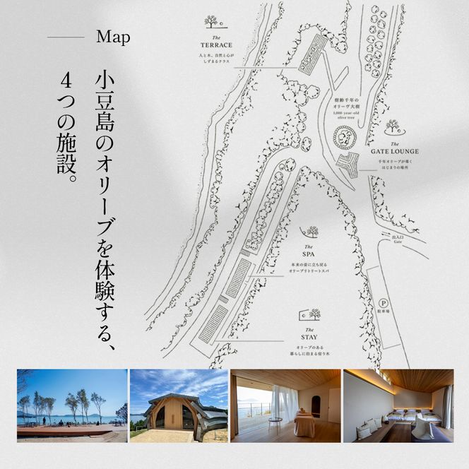 【 小豆島 】千年オリーブテラス for your wellness 「The STAY」 ペアチケット 夕朝食つき 宿泊券 旅行 旅 オリーブテラス オリーブ 宿泊 食事 チケット 泊まる ペア 睡眠浴 香川 香川県 土庄 土庄町