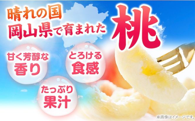 【豊作につき特別寄附額】桃 岡山の桃 計約2.6kg(約1.3kg×2箱)《2026年6月下旬-9月上旬頃出荷》 ご家庭用 訳あり 白桃 岡山県 笠岡市 モモ もも 先行予約 送料無料 清水白桃 白鳳 白麗---kasaoka_zsy_416_1313---