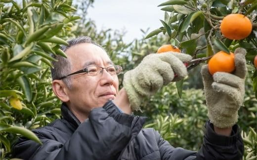 【先行予約】【家庭用】温州みかん 5kg ※離島への配送不可 （2026年11月10日より順次発送） IKTA039