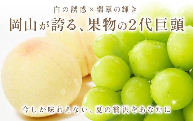 【2026年先行予約】 岡山県産 シャインマスカット＆桃 セット 約2kg 花田青果【8月中旬～9月中旬まで順次発送予定】/ 葡萄 ぶどう 果物フルーツ 詰め合わせ【hnds011】
